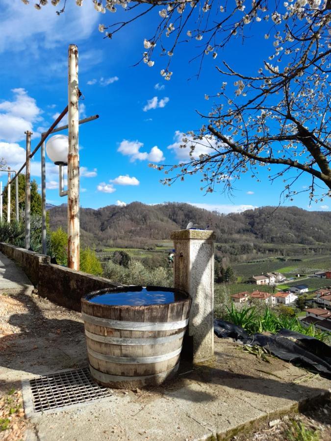 L'Oro Di Nonna Adele Bed & Breakfast Nimis ภายนอก รูปภาพ